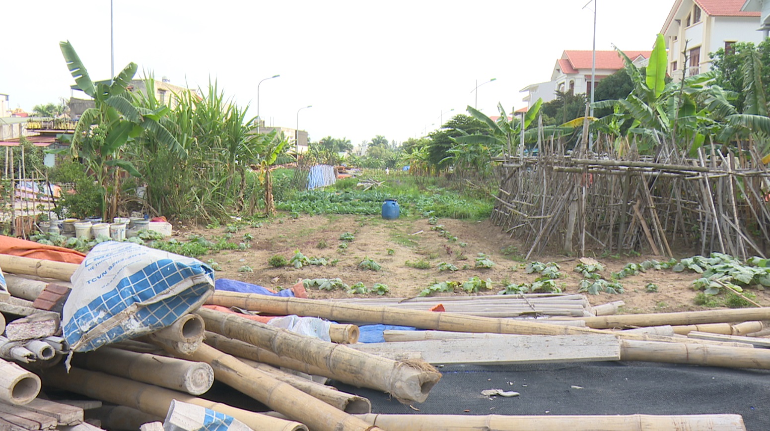 Chuyển từ đất trồng cây lâu năm sang đất thổ cư phải xin phép